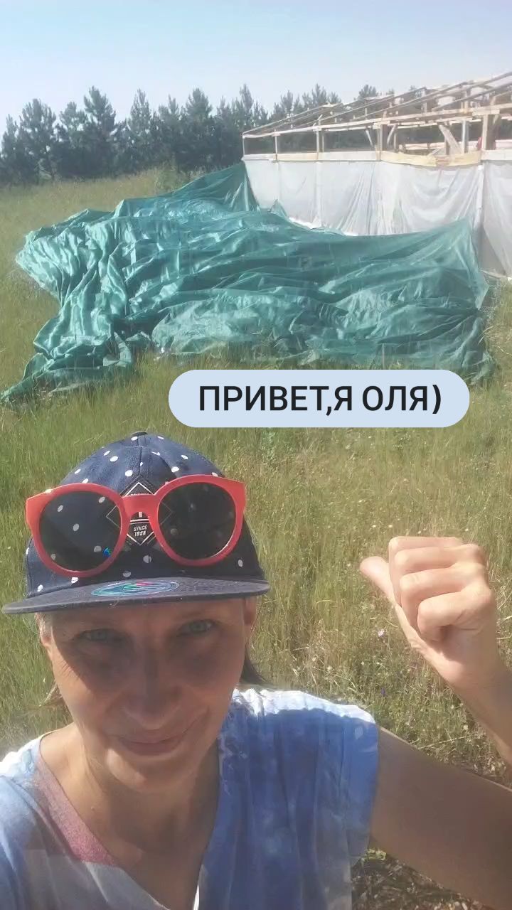 tropikanka.eko в LOOKY. #мамы_ангелов,#лето,#где-то,#синее,#зеленое,#полташ,#курочки,#женский_огород,#любофф,#нуденодин,#помидор,#томаты,#огуречный,#земля,#небо,#родил,#свет. Привет,я Оля и мне п...
