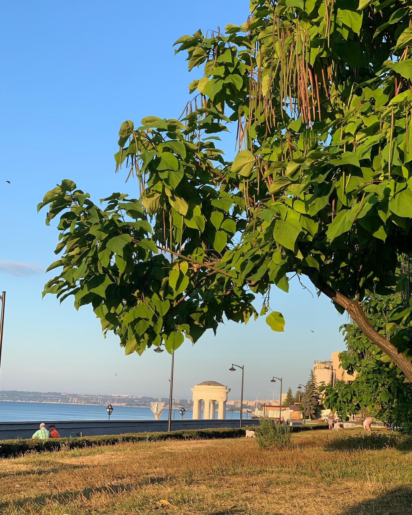 julliaskripkina в LOOKY. . null