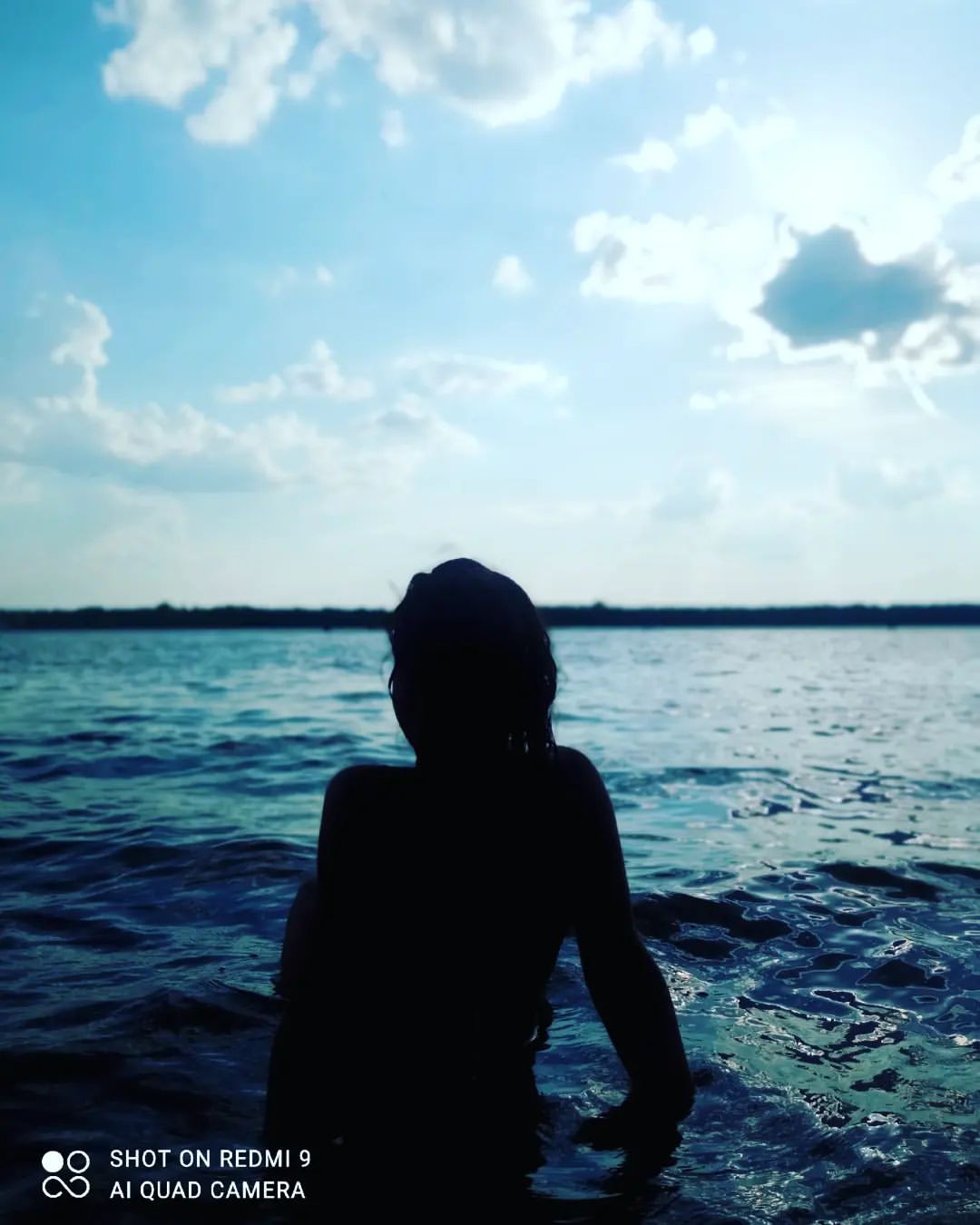 🐬🌊