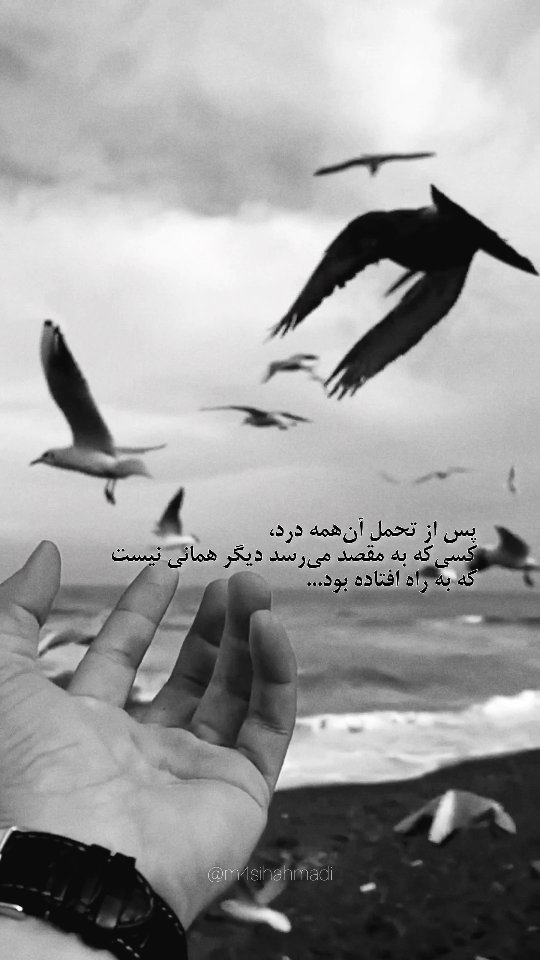 massih_og в LOOKY. #ریلز,#درد,#تحمل,#زندگی,#آرامش,#ادامه. همان آدم نیست...
#ری...