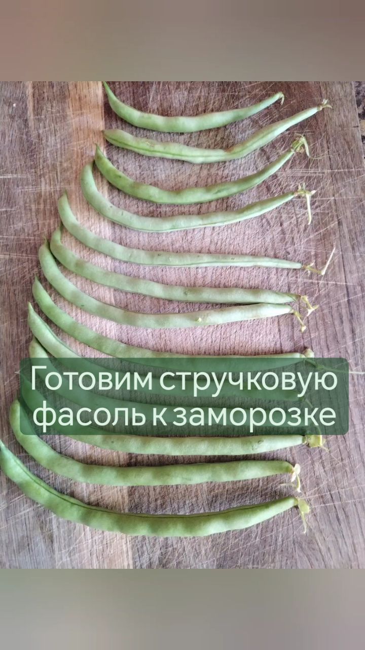 missisvaflia в LOOKY. #фасоль,#запасыназиму,#заготовки,#заморозки,#заморозка,#лобио,#спаржеваяфасоль,#нагрядках,#нагрядке,#грядка,#грядки,#дача,#надаче,#люблюдачу,#кзиме,#хозяйкеназаметку. 📌ГОТОВИМ СТРУЧКОВУЮ...