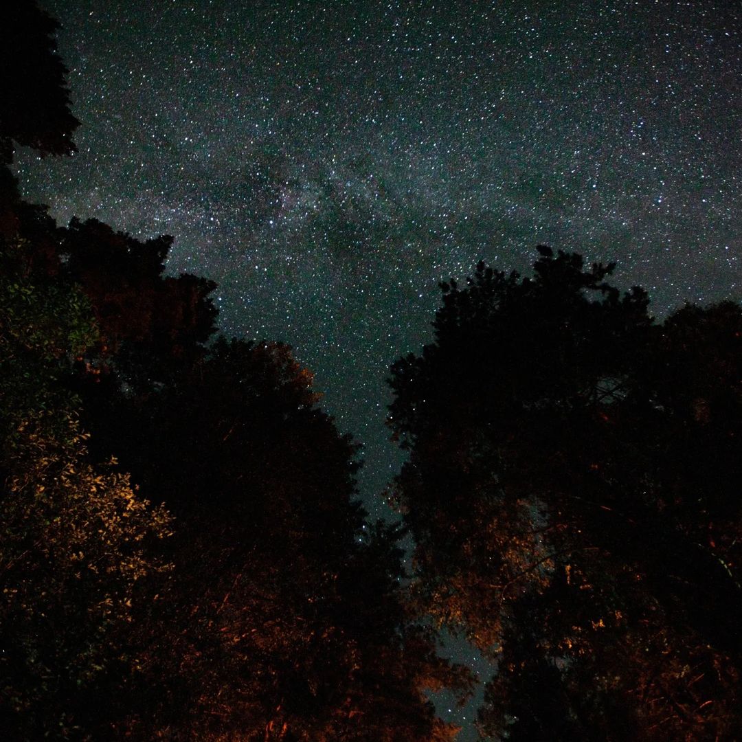 Немного звездного неба.

#space #Belarus #star #forest #космос #звезды #природа #беларусь