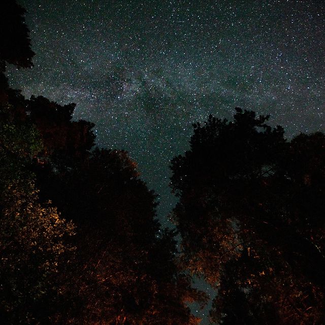 chikgg в LOOKY. #space,#Belarus,#star,#forest,#космос,#звезды,#природа,#беларусь. Немного звездного не...
