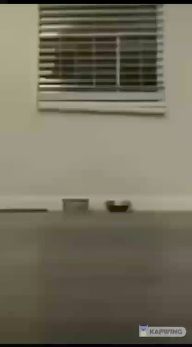 m_kiven_m в LOOKY. #humor,#memes,#viral,#umor,#momasos,#reels. memes compilación 

...