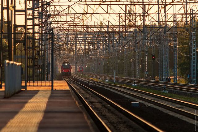 skuns04 в LOOKY. #canonrussia,#canonphoto,#photographer,#train,#sunset,#Railway,#rzd,#фотограф,#фотографМосква,#ржд,#закат,#рельсы. В ожидании тутушки �...