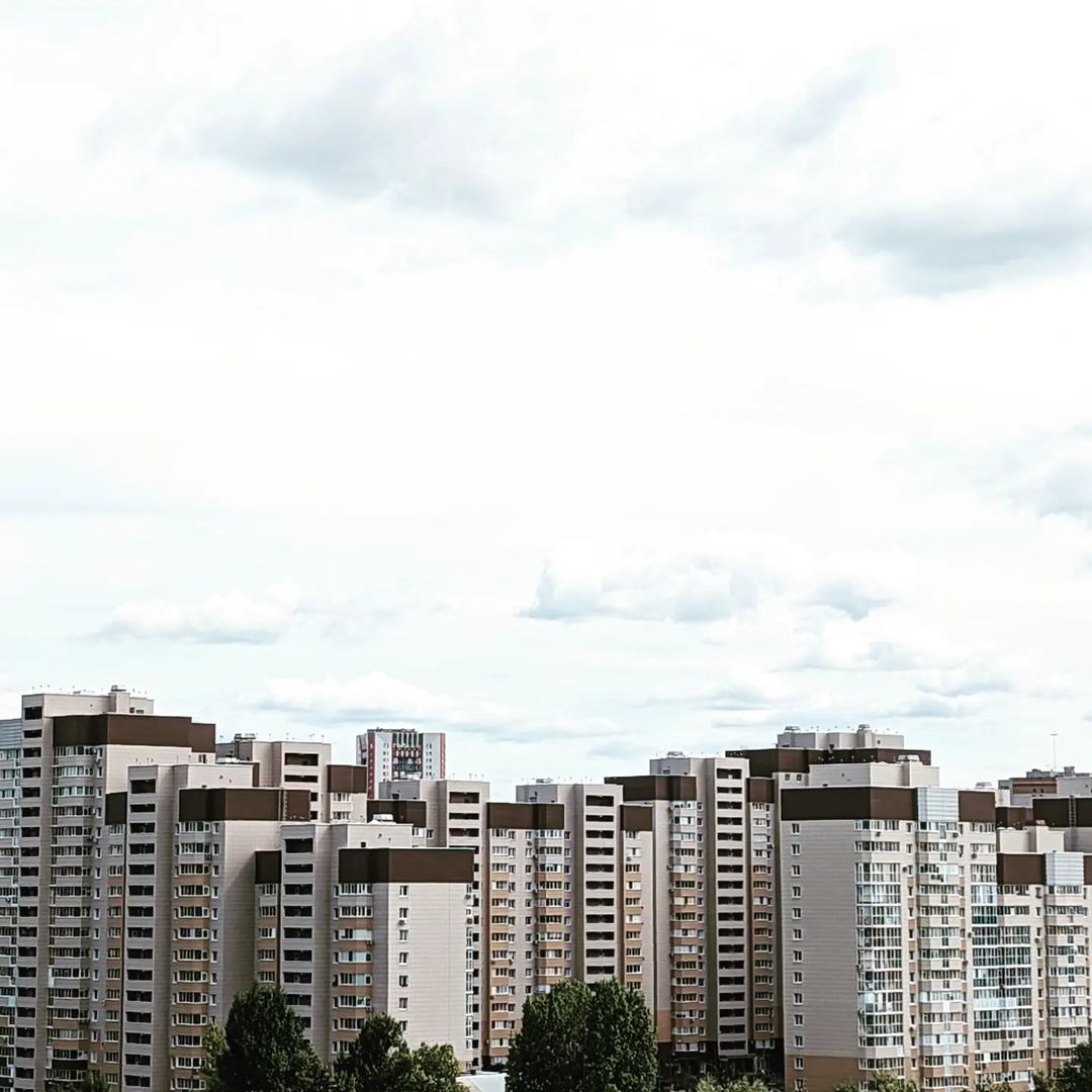 timay_1