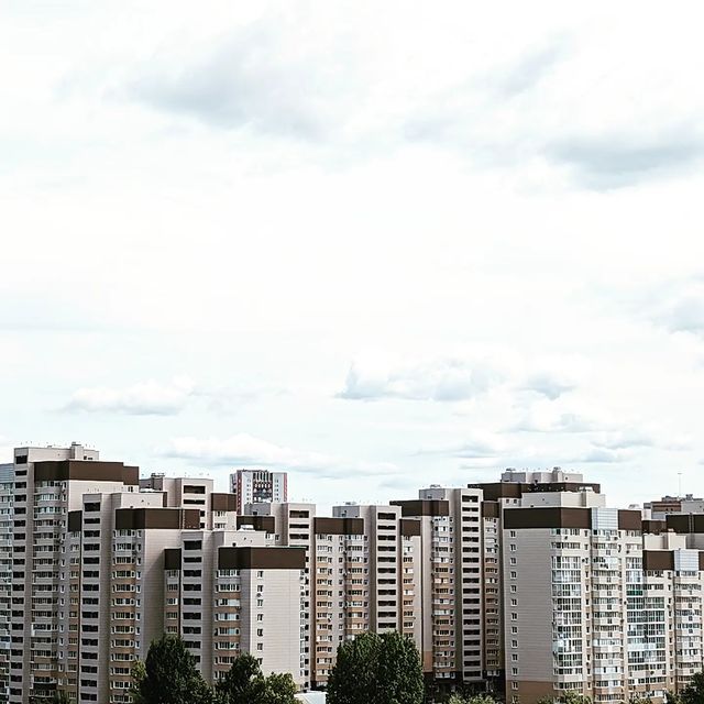 timay_1 в LOOKY. . null