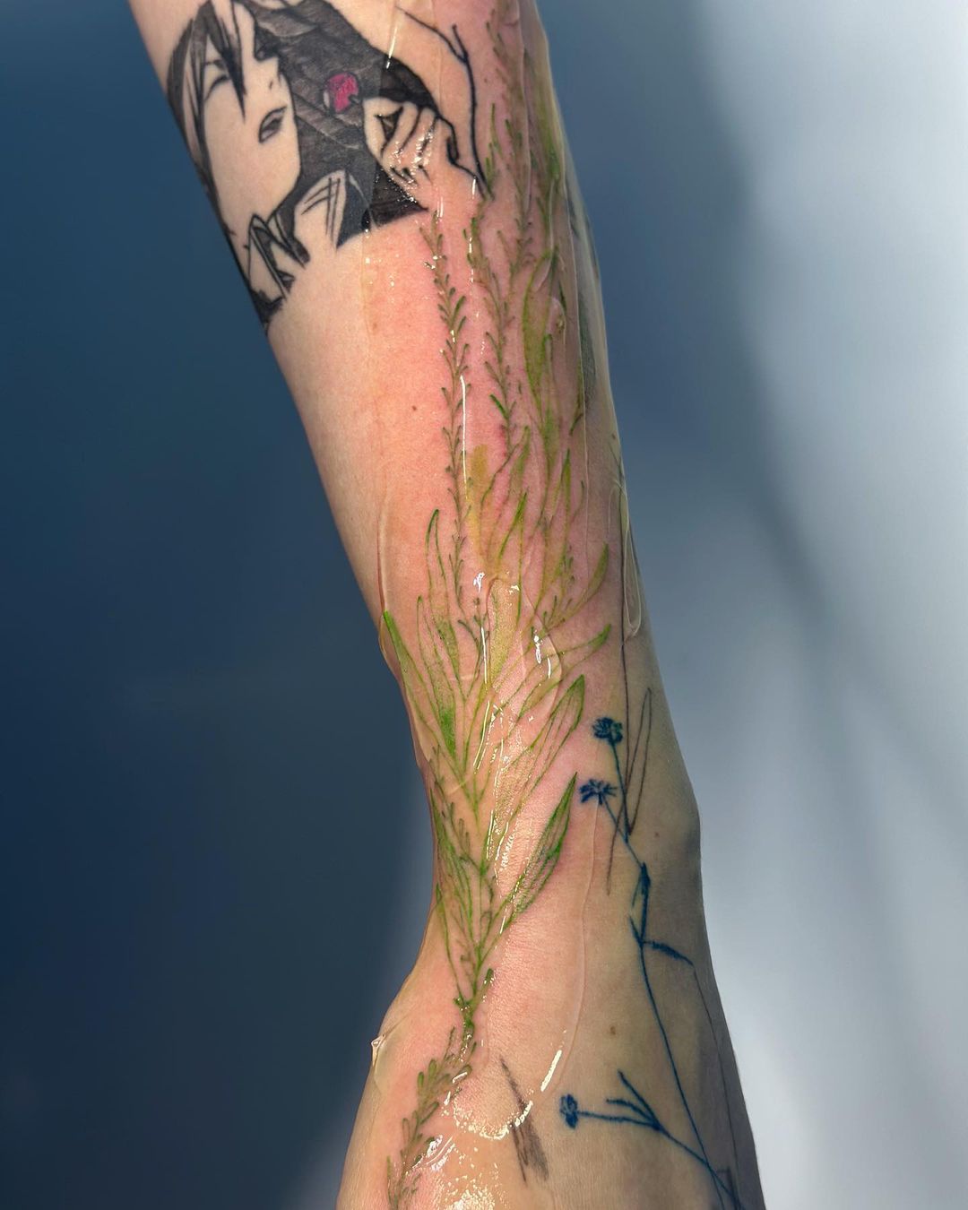 brickfern_tattoo в LOOKY — фото 2