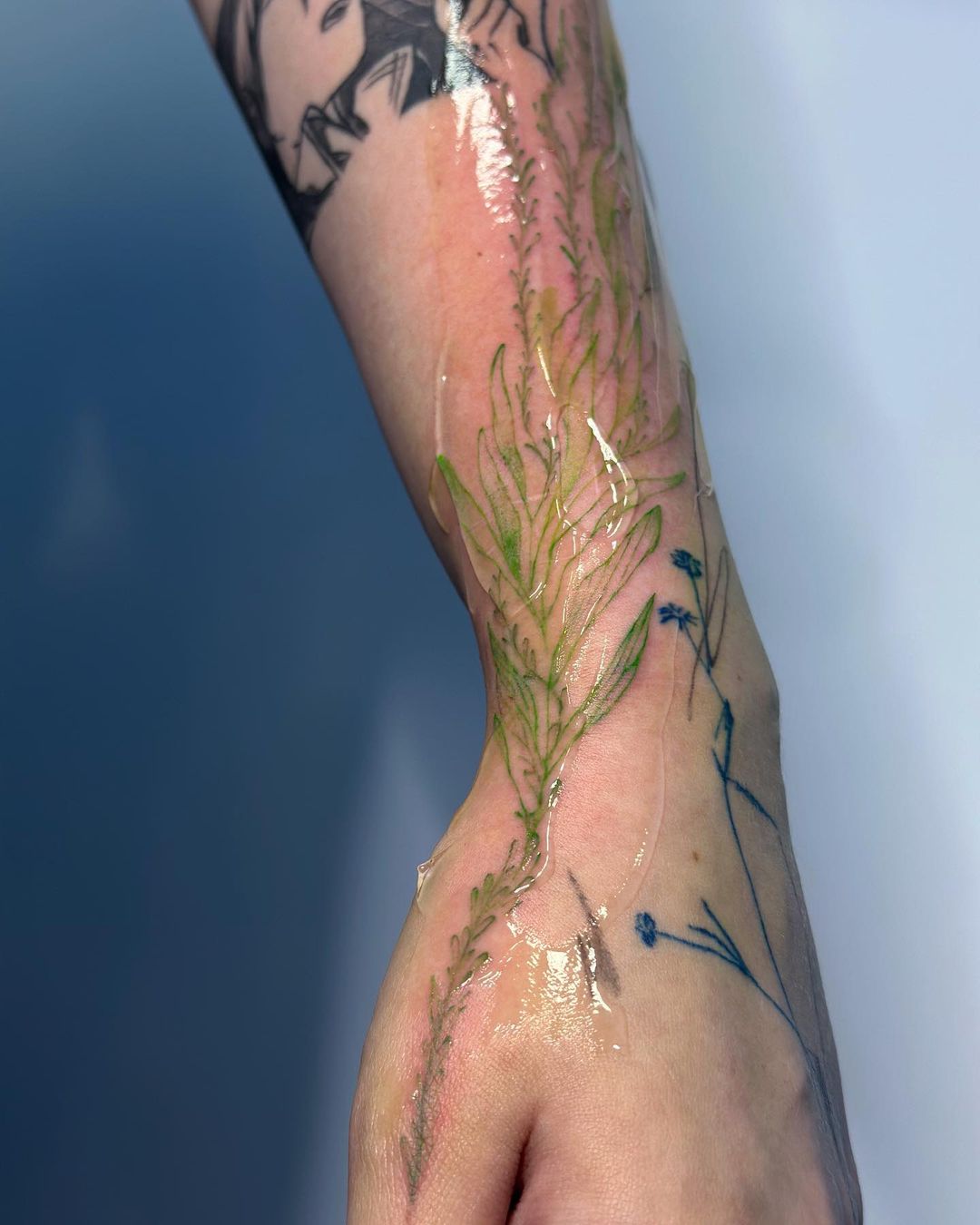 brickfern_tattoo в LOOKY — фото 1