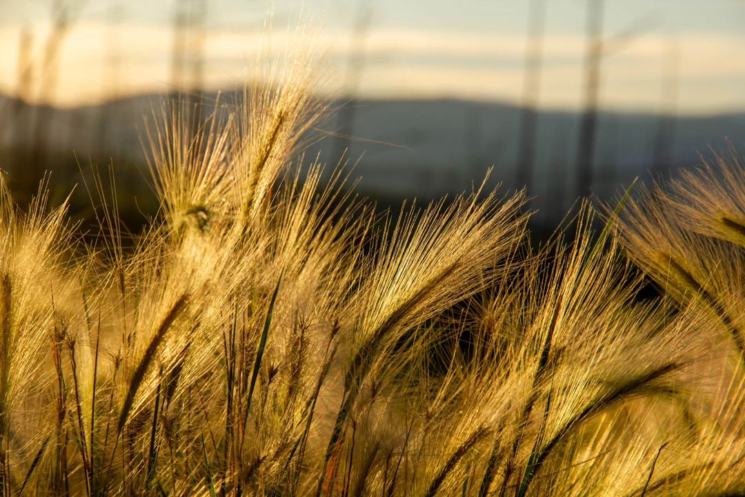 astronom_realtor в LOOKY — фото 7