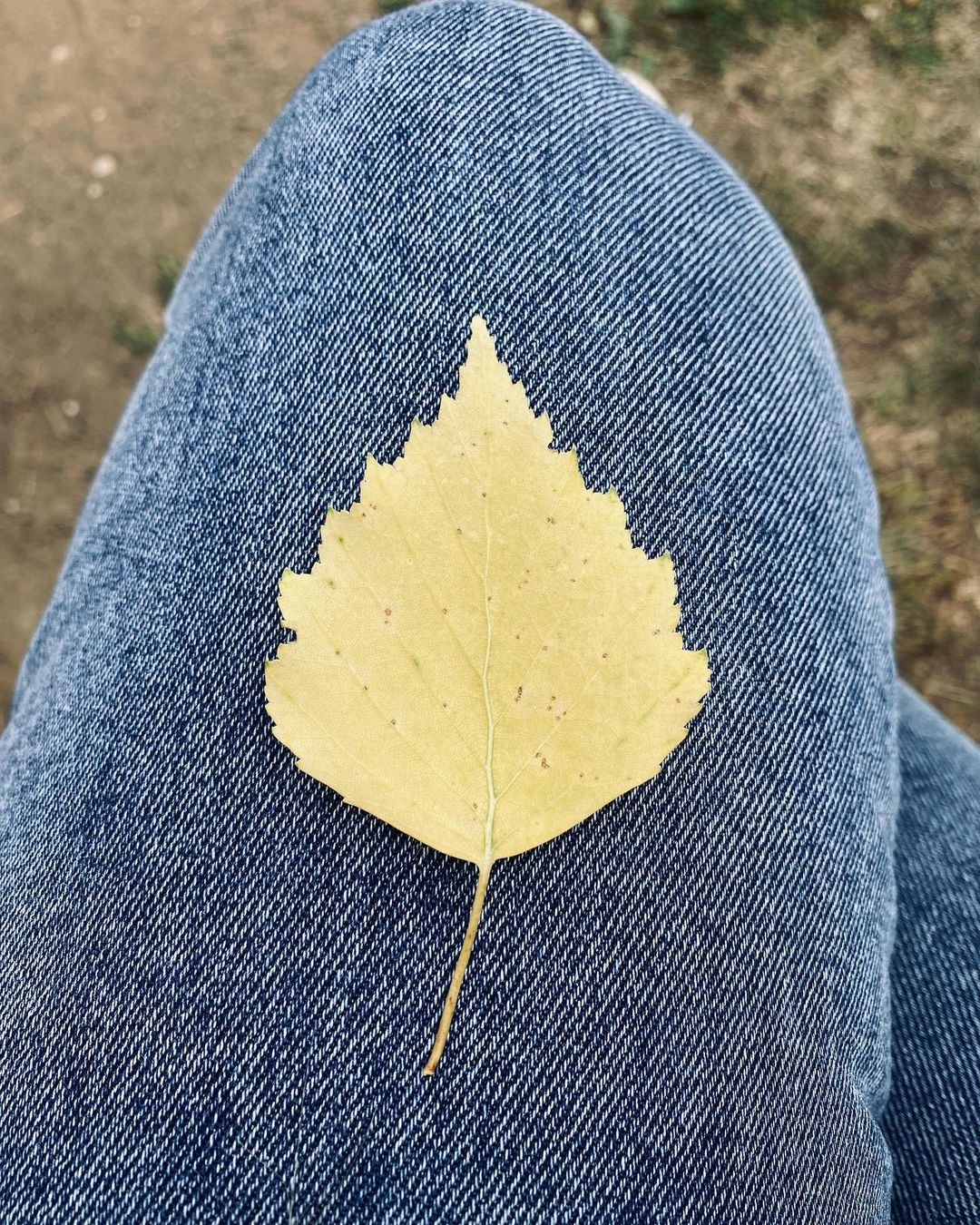 С каждым днём, приближение осени ощущается всё сильнее 🍂 #осеньблизко#Красноуфимск#2023 #осеньнаУрале#люблюосень#осеньючувстваострее