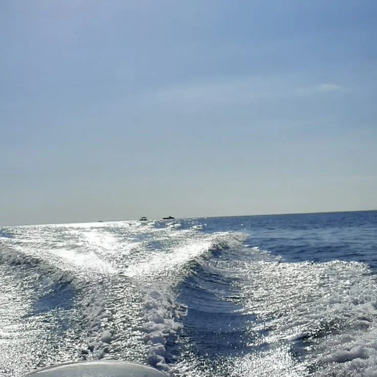 purpurny_dvizh в LOOKY — #граница #горизонт #🌊🌊🌊 #черноеморе🌊 #отдыхаемвсейсемьей