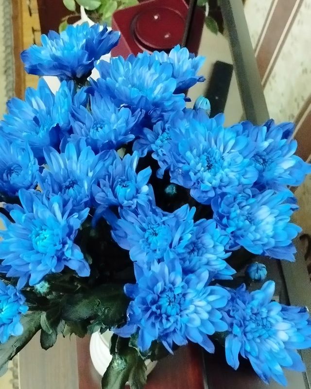masyanya_mur_ в LOOKY. #моймир,#мояжизнь,#мойвыходной,#тымойятвоя,#инстамир,#бамболейло. Это мой мир, это моё...