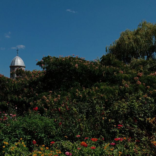 offarno в LOOKY. . null