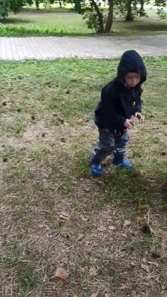 mama_zoolog в LOOKY. #мирослав,#мирославу4года,#рилсы,#рис,#Россия,#кострома44,#кострома,#мы. Собираем в парке шиш...