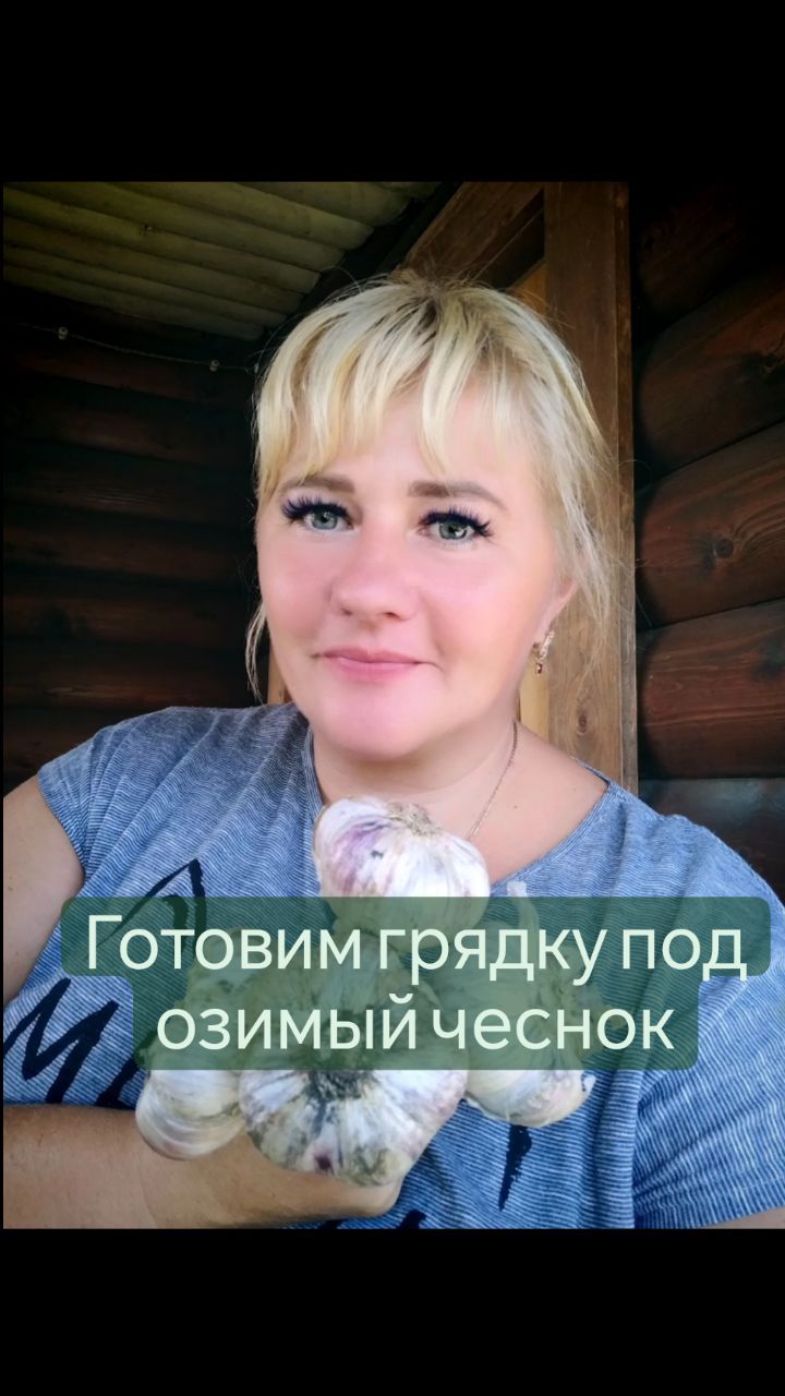 missisvaflia в LOOKY. #грядки,#нагрядках,#народныесредства,#удобрение,#чеснок,#озимыйчеснок,#огородники,#огород,#огородник,#дача,#люблюдачу,#моядача,#надаче,#вкусно,#назиму,#хозяйкеназаметку,#хозяйка,#секрет. 📌ГОТОВИМ ГРЯДКУ ПОД...