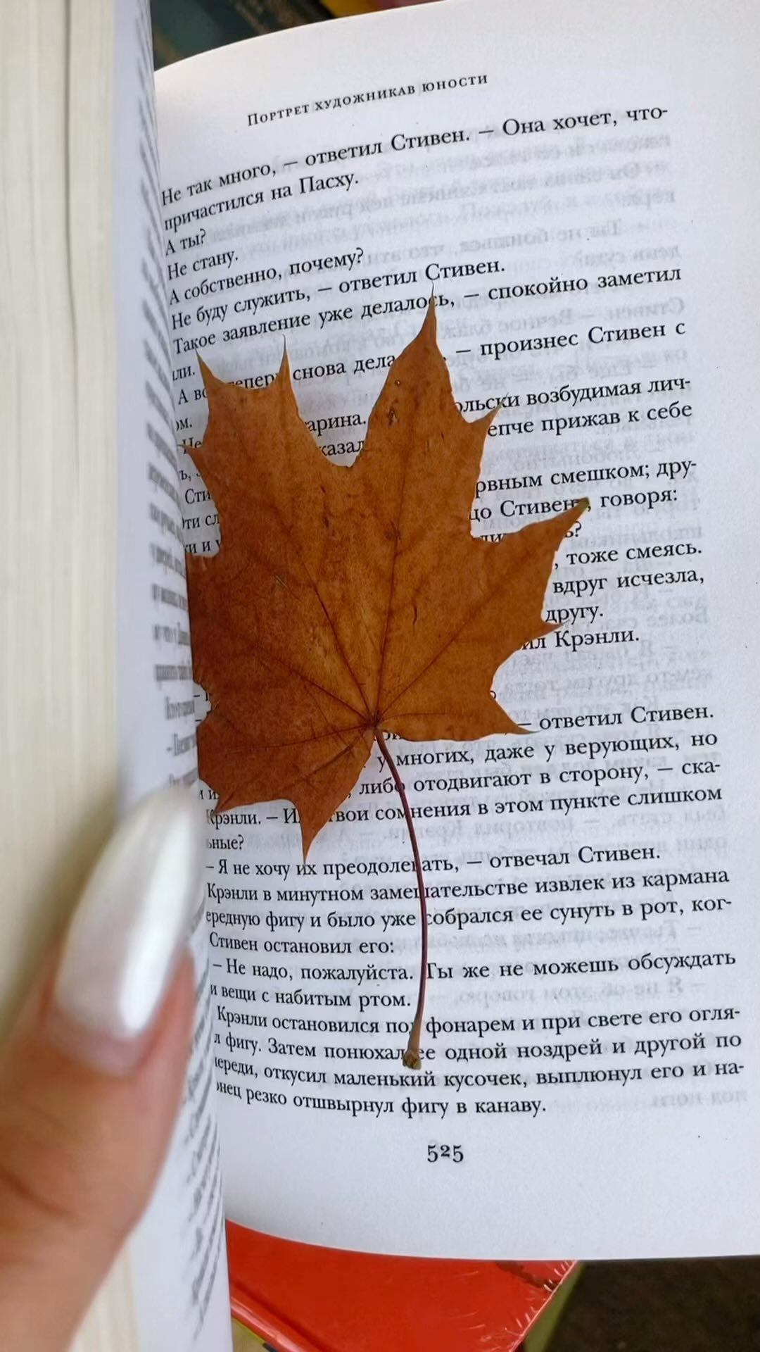 anastasia_shamarina в LOOKY. . Когда разбираешь кни...