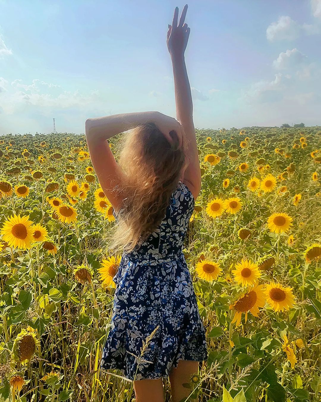 @bigfoot08_vlg любит халву, а люблю подсолнухи 🌻🌻🌻 Варианты проехать мимо такого солнечного поля, даже не рассматривались 😅 #выходные #лето2023 #отдыхаемхорошо #подсолнухи #гдетовполе #instagood #sunflower #nature