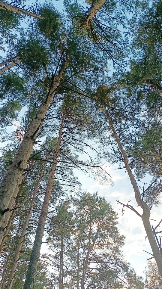 masha_i_99koshek в LOOKY. . Как здорово, что в э...