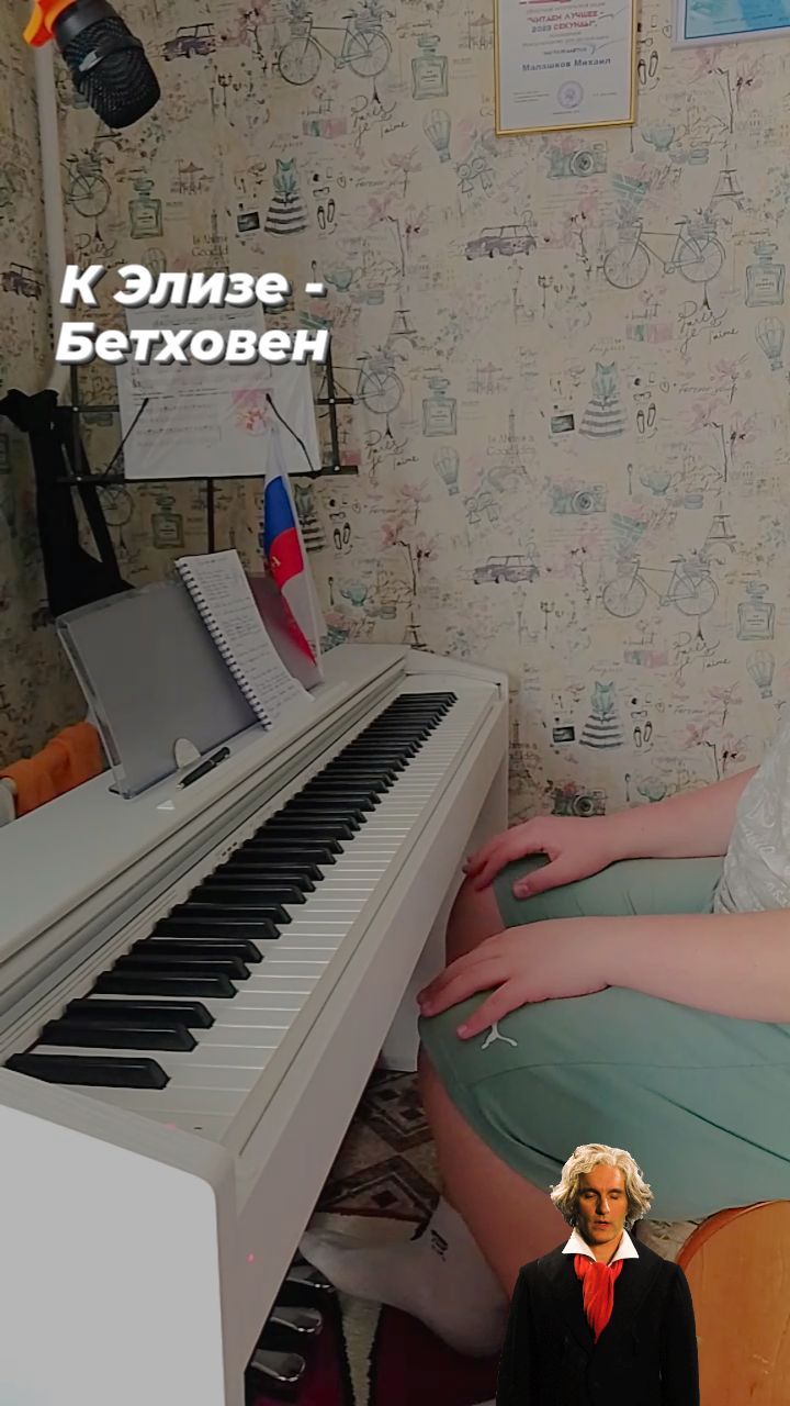 mikhail_28_bel в LOOKY. . К Элизе - Бетховен Л...