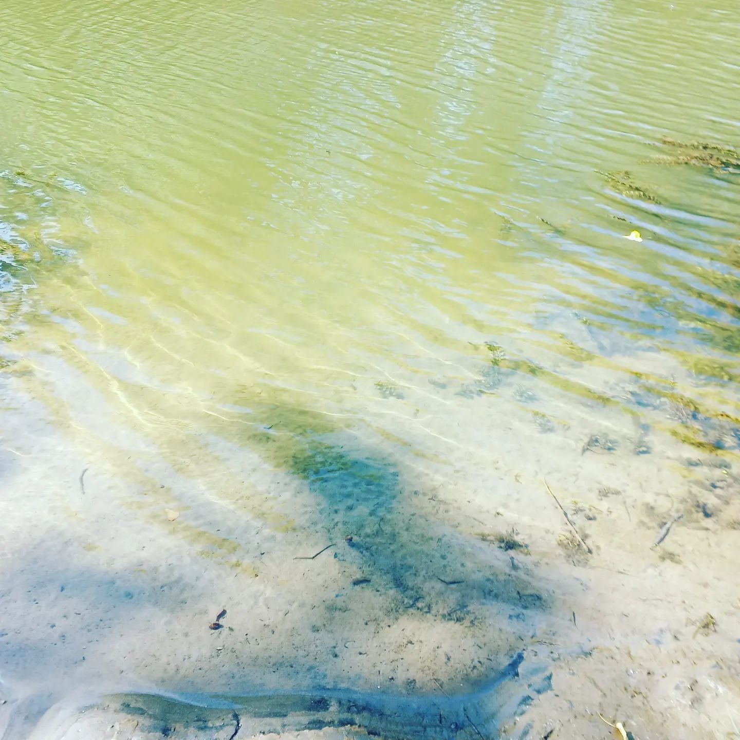 tcgoshat в LOOKY. . Чистая вода в грязно...