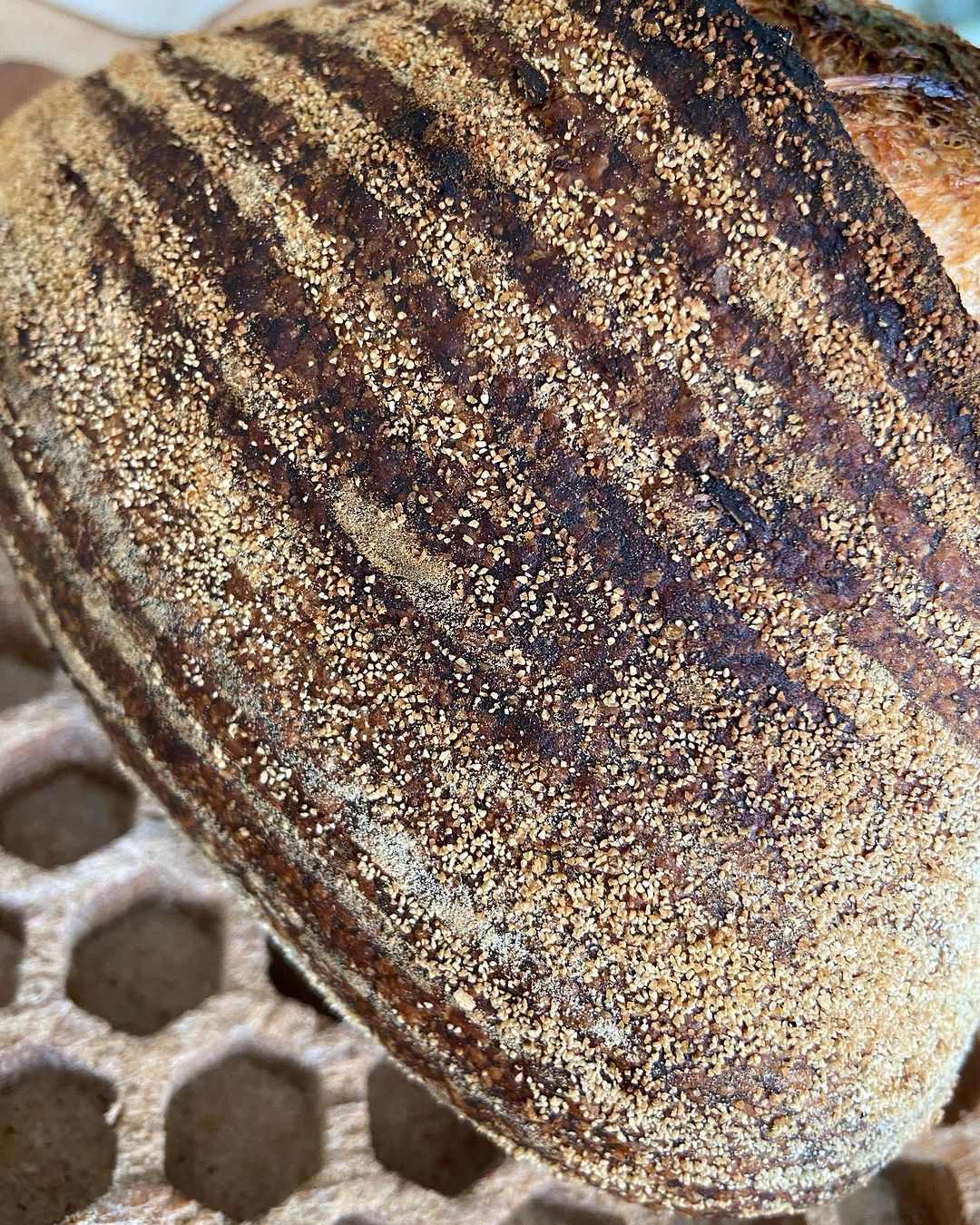 housebread45 в LOOKY — Чувствуете как тихо осень подкралась. Я помню в детстве мне 