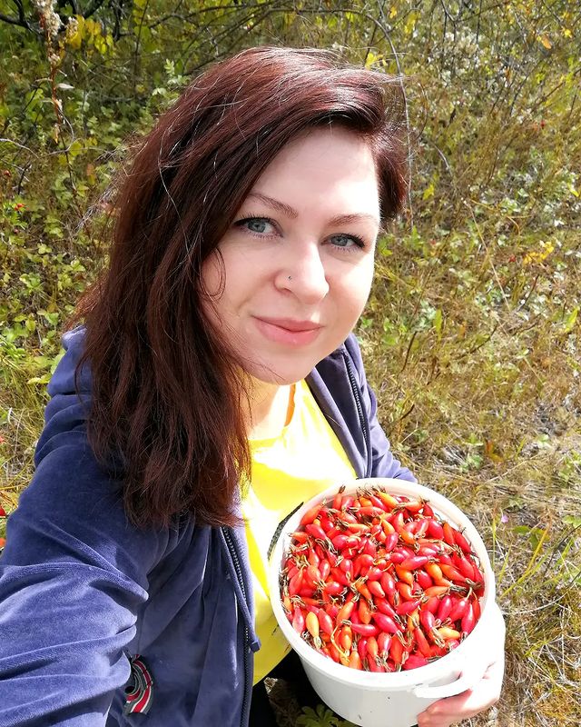 katerinka.vb в LOOKY. #дарыприроды#шиповник. Готовимся к осени и ...