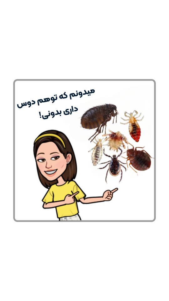 mahdieh_andisheh в LOOKY. #شپش,#کک. اگه از اکسپلور میای ...