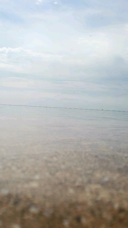 lik_arty в LOOKY. . null