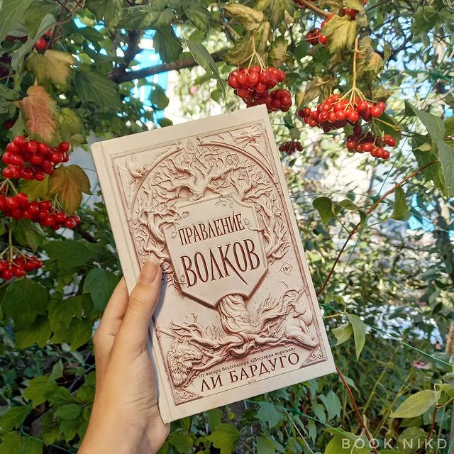 ni.amff в LOOKY. #книголюб,#книгоотзыв,#книгоман,#книгоблог,#книги,#книголав,#книгомания,#книгмногонебывает,#романтика,#корольшрамов,#правлениеволков,#bookstagram,#trendbook,#издательствоаст,#либардуго,#книжныймир,#книжныйблог,#книжныйотзыв,#фэнтези,#grishaverse,#kingofscars,#книгинашевсе,#чтение,#литература,#книга. «Сильные люди демонс...