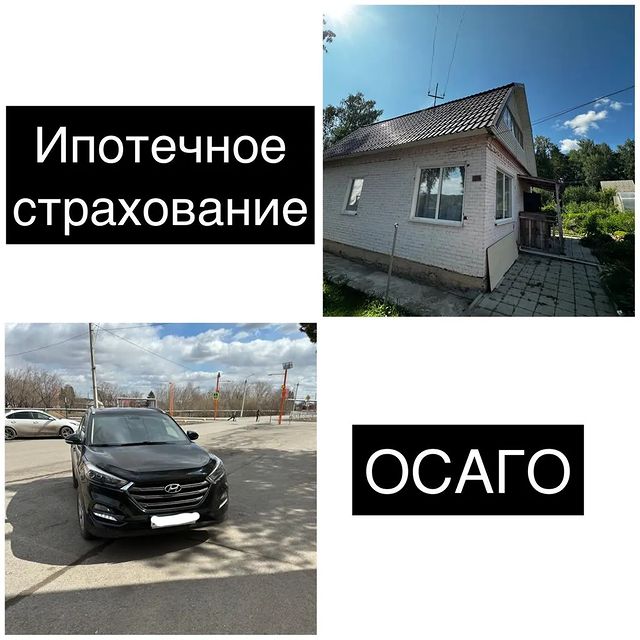 a.l.eksandr1 в LOOKY. . null