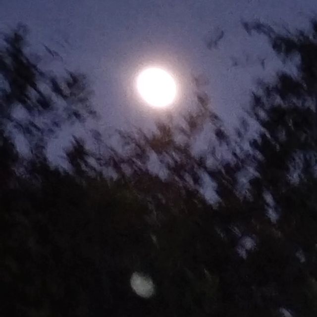 daffy_tjit в LOOKY. #moon,#moonwitch,#manifestation,#moonlight. The second full moon...