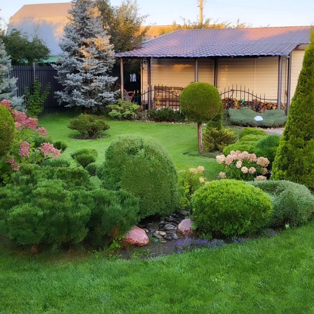 alexashova_galina в LOOKY — фото 2