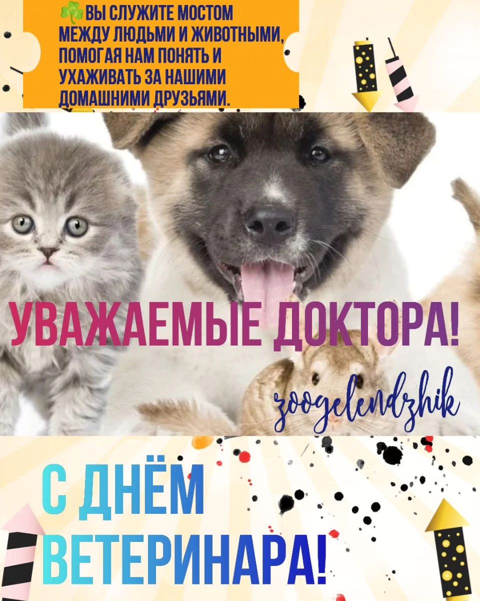 zoogelendzhik в LOOKY — ⭐ С ДНЁМ ВЕТЕРИНАРА!

💪 Ветеринары – это настоящие герои, к