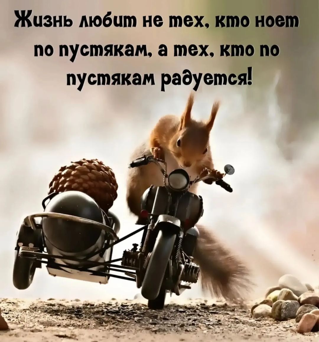 zharov_a_l в LOOKY. #ростовнадону,#чукотка,#север,#работа,#вакансияврача,#крайнийсевер. Уважаемые коллеги! Н...
