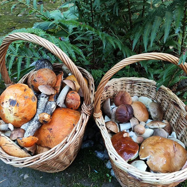 svetuliyalisa в LOOKY. . Мальчишки порадовали...