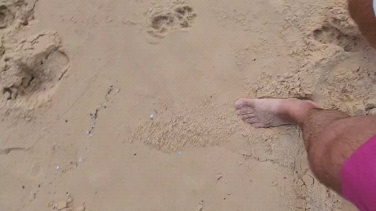 viacheslav_triyapicin в LOOKY. . null