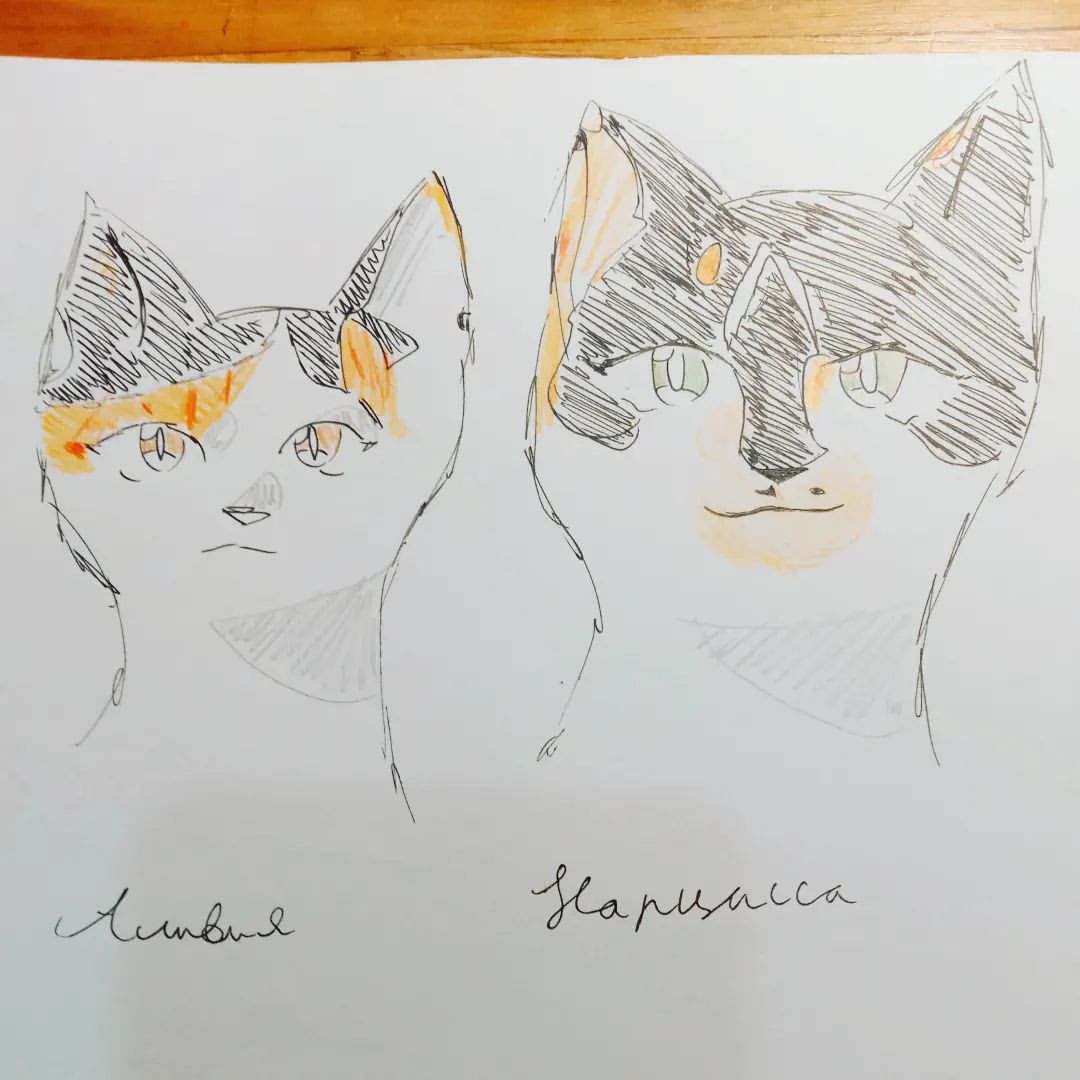 m.a.y.a._art._ в LOOKY — Мои кошки в стиле манга :)
#арт #аниме #кошки #рисуноккаранд