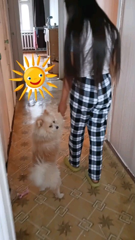 anya_ayllaana в LOOKY. . null