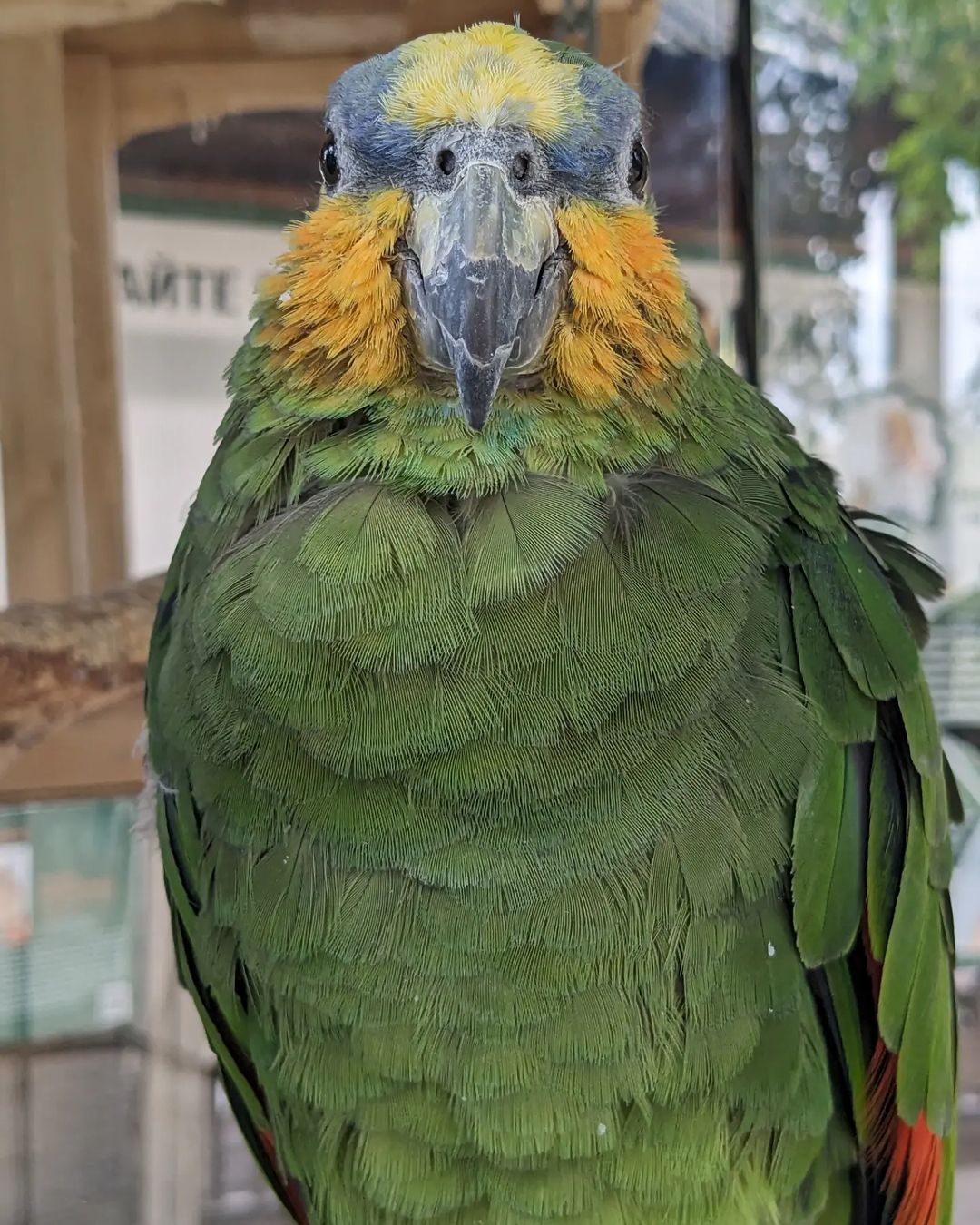 laasenl в LOOKY — фото 7