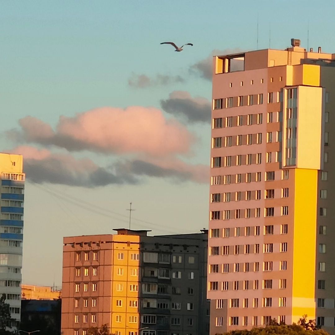 pervouralsk_from_ps в LOOKY — фото 5