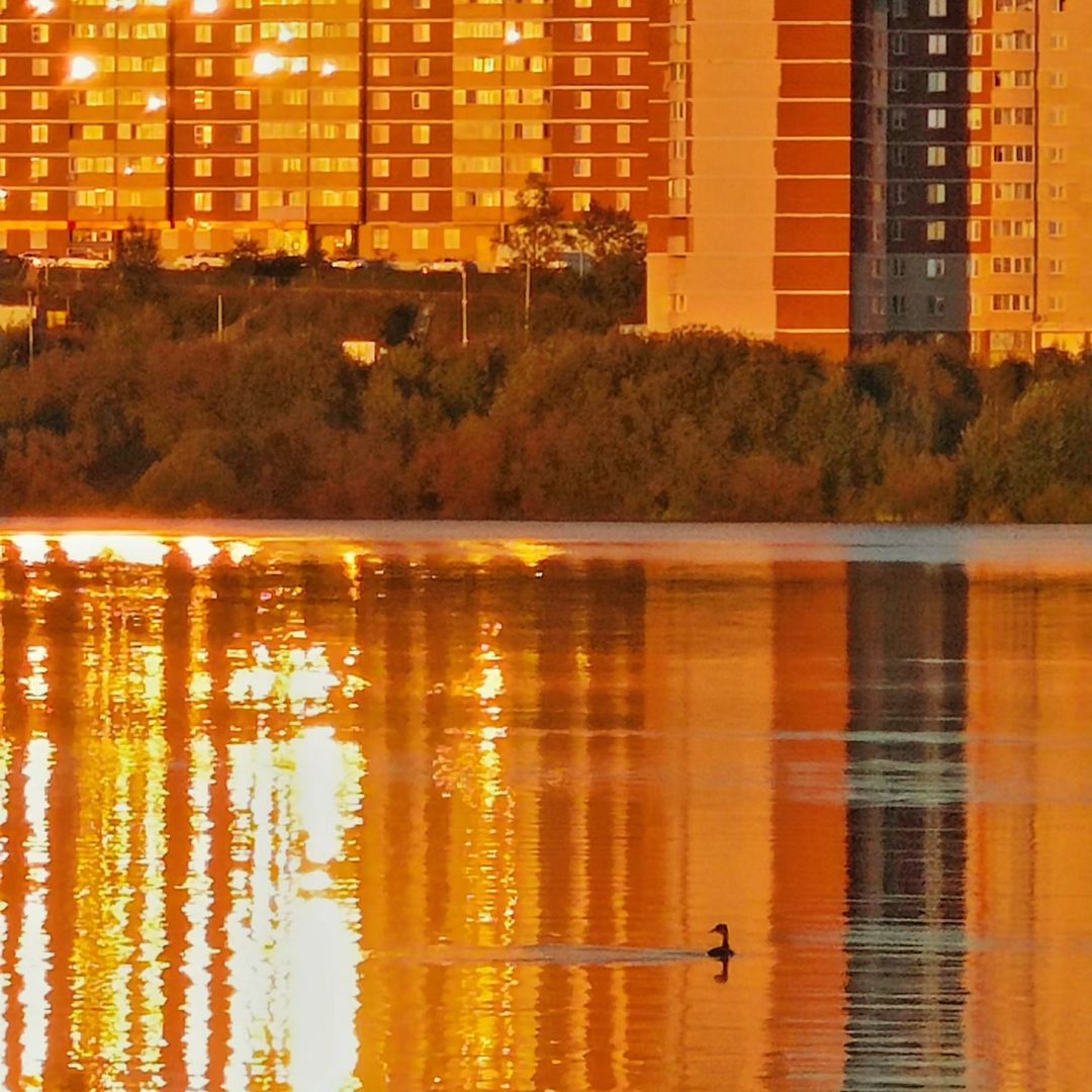 pervouralsk_from_ps в LOOKY — фото 1