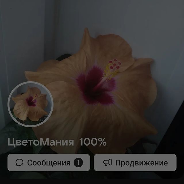 korzun546 в LOOKY. . Всем привет , кто ещ...