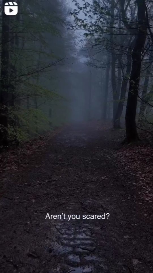 bella666bornswood в LOOKY. . Брошенные в холодной...