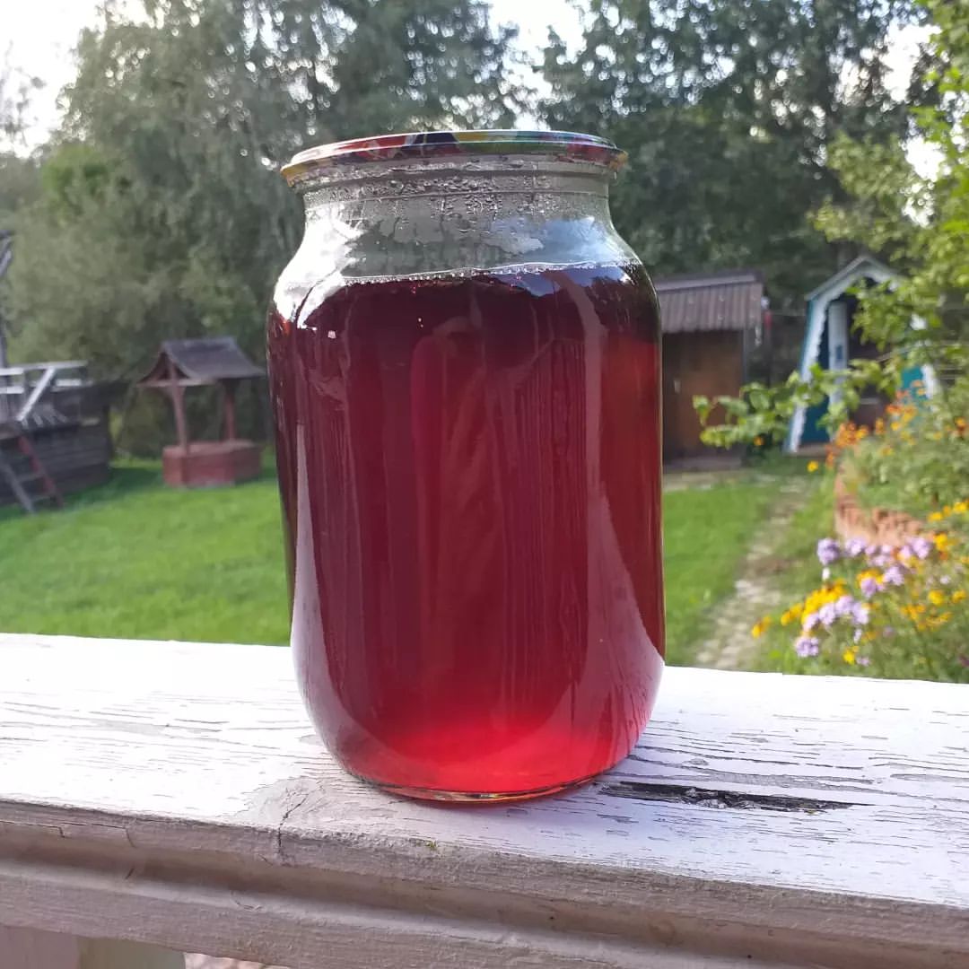 Сироп из слив с мятой и мелисой.

Сделала себе очень вкусный сироп. Места для хранения компотов у меня нет, а развел и готово.
Разбавлять один к двум.

🍴Рецептик.

🍴Сливы помыть, уложить в кастрюлю (половина емкости) , долить до верху и проварить минут 20.

🍴Снимаем с огня. Вытаскиваем сливы, и кладем в получившийся отвар по 5 - 6 веточек мяты и мелисы. Даем постоять минут 10.
Процедить, и на огонь. На 4,5 л я добавила 2 кг сахара.

🍴После закипания варим минут 20. Сиропчик еще немного уварится.

🍴В банки кладу по веточке мяты и мелисы ( помытой и обсохшей) , заливаю сиропом, закатываю и под шубу до остывания.

🍴У меня 6 литровая кастрюля.
Из этого колличества у меня получилось 5 литровых баночек.

🍴Из отвареных слив убрала косточки, прогнала через блендер, взбила миксером и сделала пастилу) .

#рецепт #готовимдома #кулинария #еда #консервация #сливы #сироп