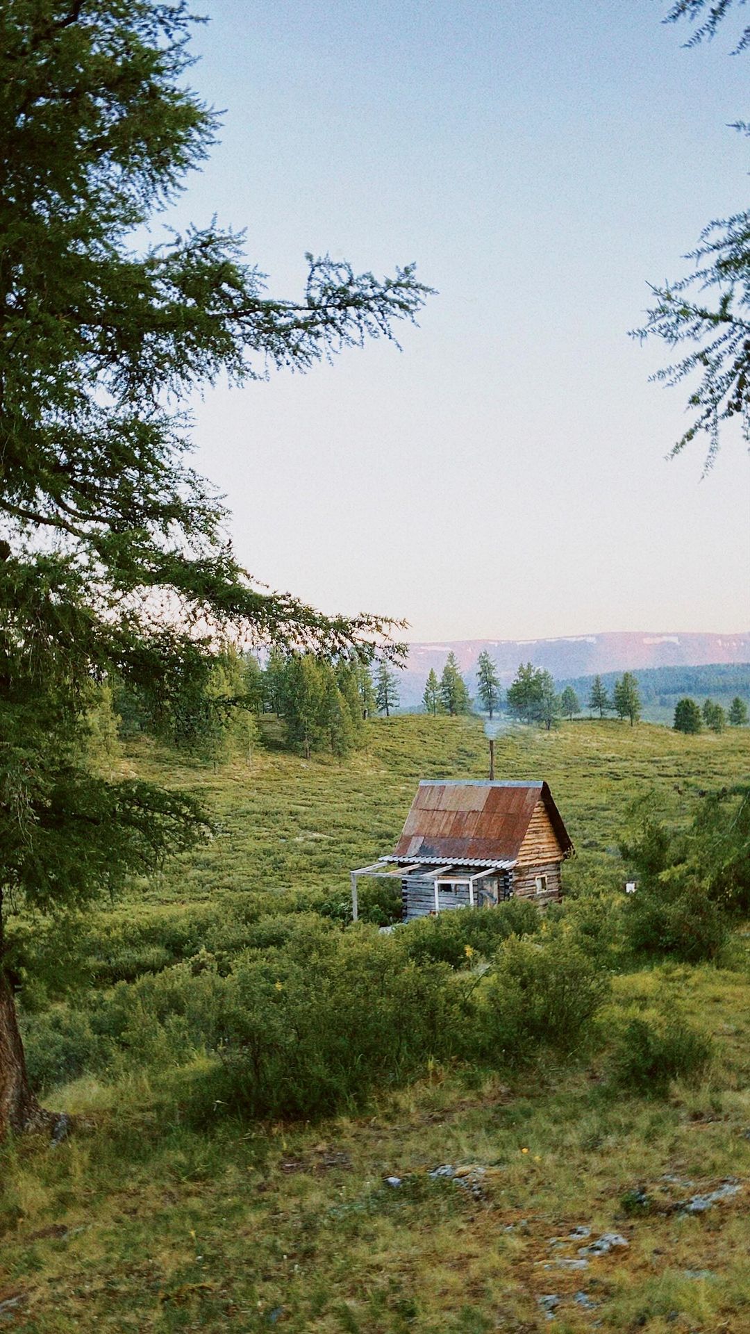 alenna.ss в LOOKY. . банковский парадокс ...
