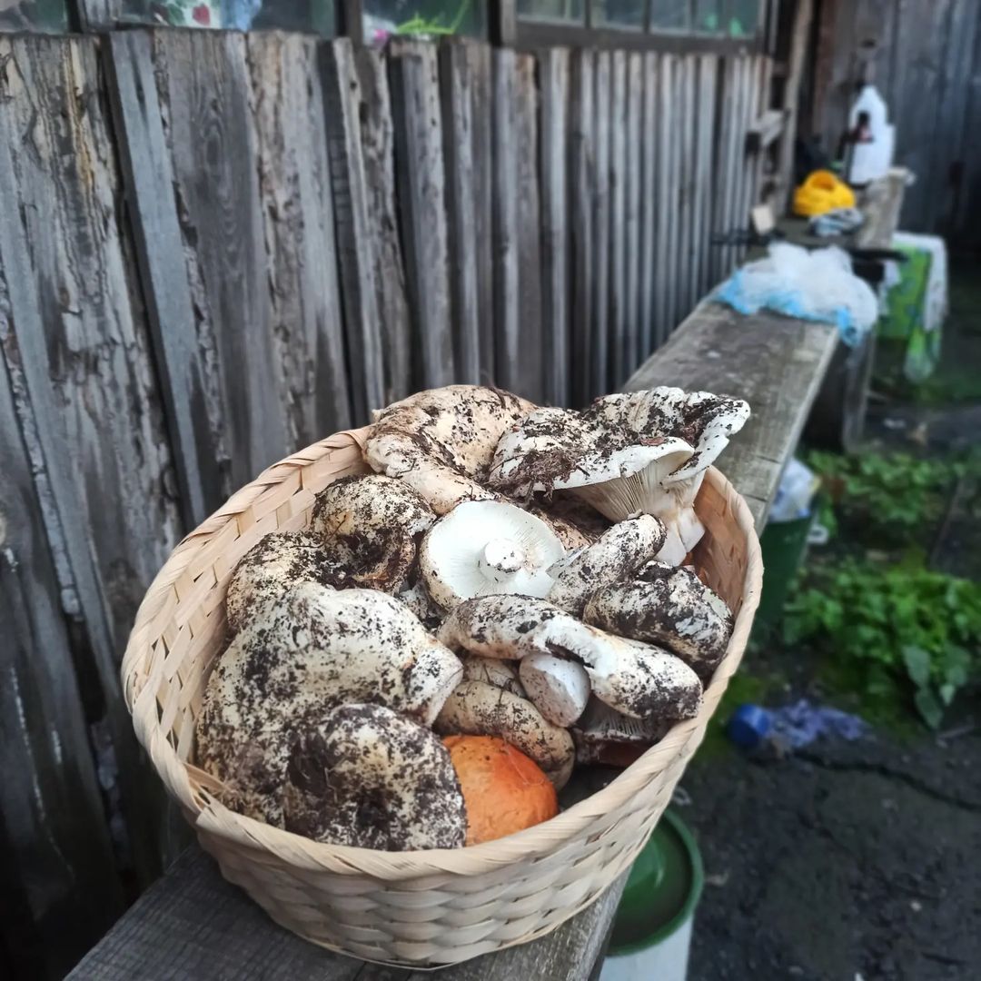 julyetta_f в LOOKY — публикация