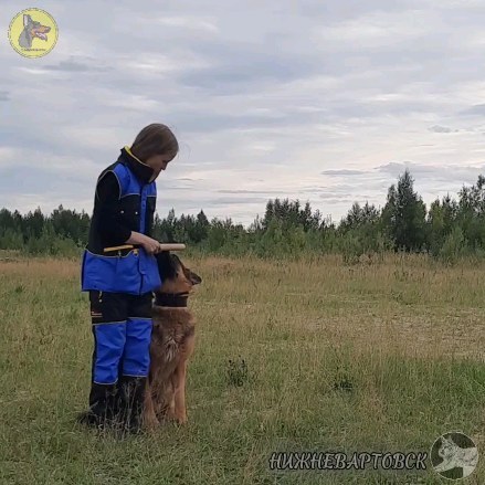 dressirovka_nv in LOOKY. . Подготовка к ЗКС. Вы...