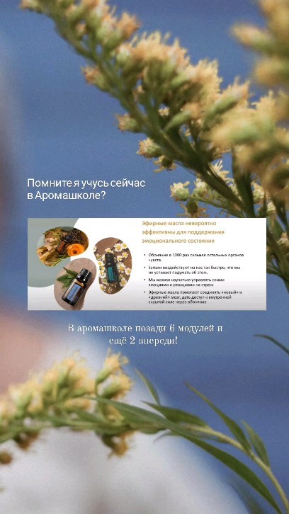 olga_lesnichaya в LOOKY. . Моё лето 2023. Обуче...