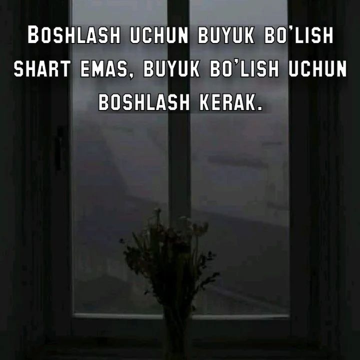 mexroj_20_00 в LOOKY — Boshladikmi?